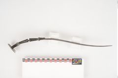 Foto von Bimetallantennendolch (NHMW-PRAE-025977)